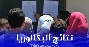 الإعلان عن نتائج البكالوريا يوم 20 جويلية عبر هذه المواقع