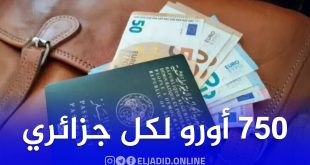 رسميا.. 750 أورو لكل جزائري يغادر الوطن بداية من هذا التاريخ