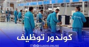 شركة كوندور تفتح توظيف في 31 ولاية