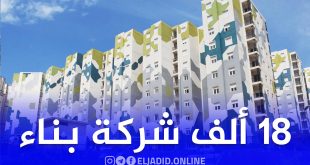 18 ألف شركة جزائرية تقود مشاريع السكن نحو تسرّيع الإنجاز ورفع الجودة
